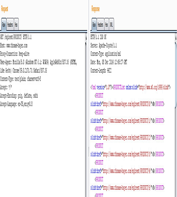 rest-request-response