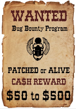 Will a Bug Bounty Program Make Your Enterprise Secure?
