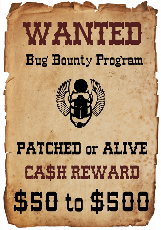 Will a Bug Bounty Program Make Your Enterprise Secure?